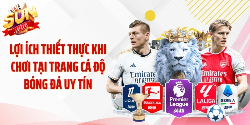 Lợi ích thiết thực khi chơi tại trang cá độ bóng đá uy tín